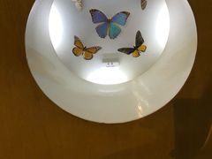 -上海大自然野生昆虫馆(东方明珠·爬宠昆虫探索中心)