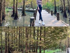 -桤木河湿地公园