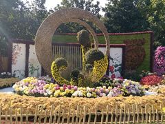 -上海共青森林公园