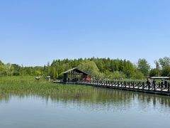 -溱湖国家湿地公园