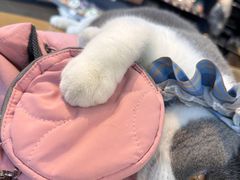 -萌兽医馆·眼科·异宠专科(三里屯店)