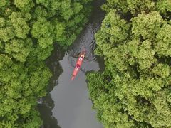 -动邦皮划艇·桨板·独木舟·团建户外运动俱乐部
