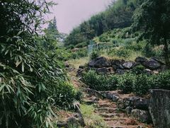 -井空里大峡谷