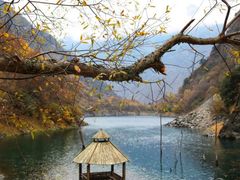 -叠溪松坪沟景区