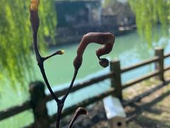 -皤滩古镇