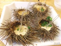 海胆蒸蛋-海岛渔村大酒店(云霄路店)
