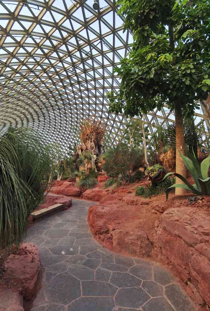 上海辰山植物园-"91冬日温暖好去处97上海辰山植物园温.