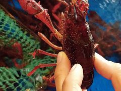 -德信恒隆国际酒店