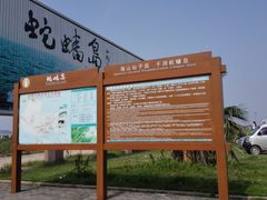 -蛇蟠岛