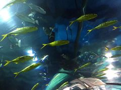 -福州罗源湾海洋世界旅游区