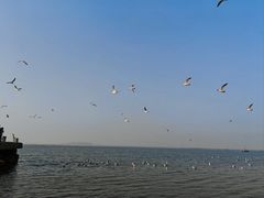 -三仙山风景区-蓬莱仙岛