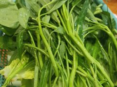 -佳荣老五生态牛肉馆