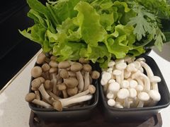 蔬菜菌菇拼盘-新辣道鱼火锅(上地华联店)