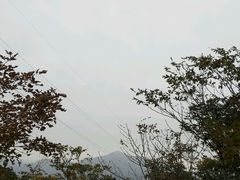 -六里坪国家森林公园
