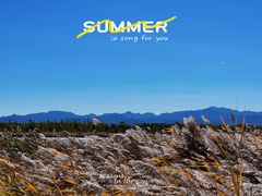 -野鸭湖国家湿地公园