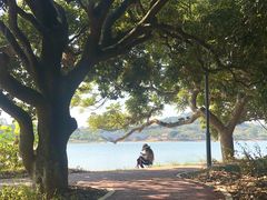 -鹤之洲湿地公园