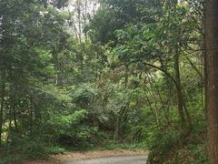 -广州市石门国家森林公园