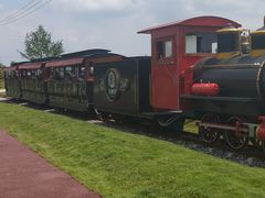 -桤木河湿地公园