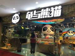-龟与熊猫宠物公园(南坪店)