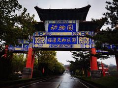 -西霞口神雕山野生动物世界