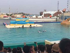 -秦皇岛乐岛海洋王国