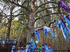 -莫尔道嘎国家森林公园