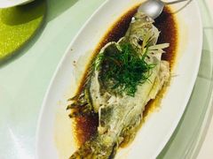 -老人和饭店(淮海中路店)