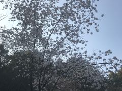 -石峰公园