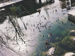 -茯茶镇