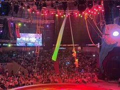 -俄罗斯国家大马戏团