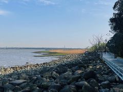 -上海吴淞炮台湾国家湿地公园