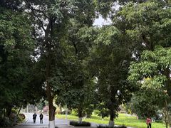 -张坝桂圆林公园