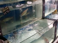 -PUMA品牌自营折扣店(武汉永旺梦乐城店)