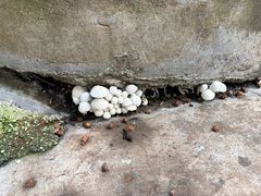 -百口川老火锅(西科大新区店)