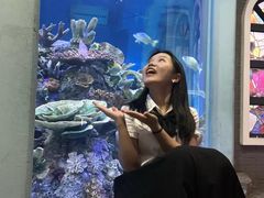 -成都浩海立方海洋公园