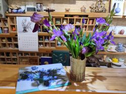 -今日陶艺(富力广场店)