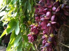 -南通洲际绿博园