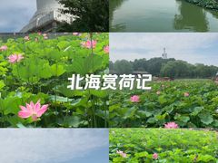 -北海公园