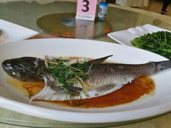 -茗荔园农庄(大涌店)