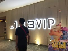 -汉阳天河电影城(王家湾店)