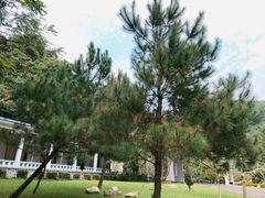 -广东温泉宾馆