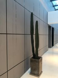 -无界瑜伽普拉提