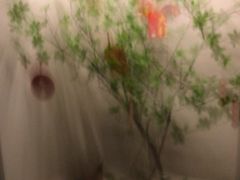 -沐SPA·坐忘山城·日式足道