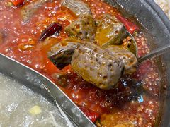 -阳阳老火锅(小南门店)