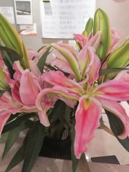 -FineYoga梵音瑜伽·普拉提