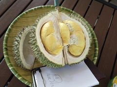 -榴莲BB 四季果园