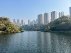 -重庆彩云湖湿地公园