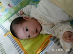 -龙文宝贝上门婴儿理发满月剃胎毛(黄浦店)
