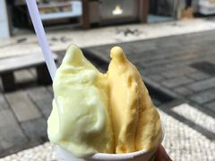 -柠檬车露(卖草地店)