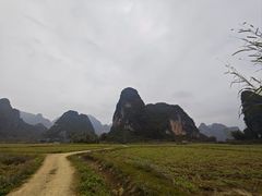 景点-明仕田园